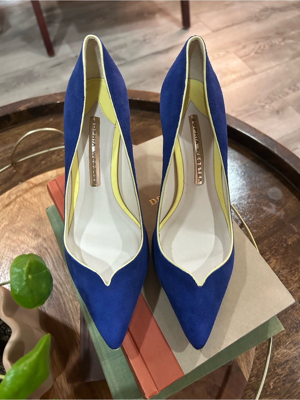 Sophia Webster Royal Blue Suede Pointed-Toe Pumps with Yellow Trim